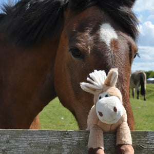 Pony Soft Toy - 20cm