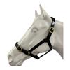 Load image into Gallery viewer, PVC Brass Halter 1&quot; - Pony
