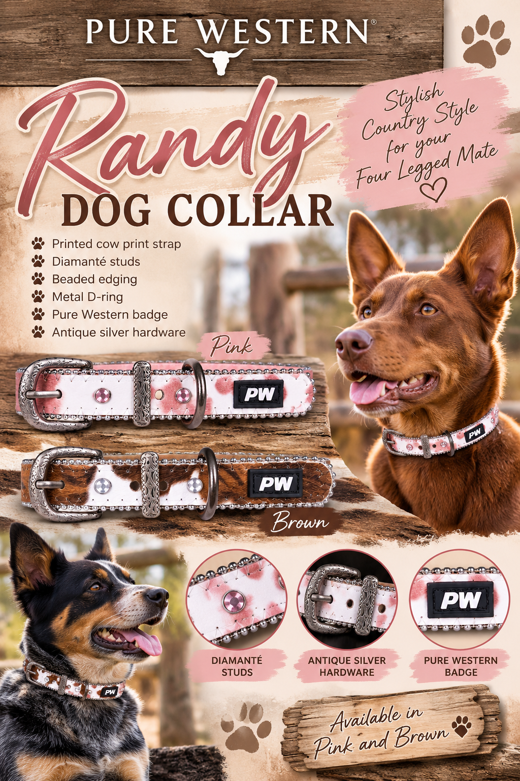 Pure Western Randy Dog Collar