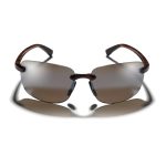 COLT – Tort Polarised Sunglasses