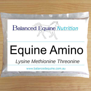 Balanced Equine - Equine Amino