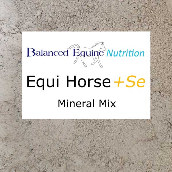 Equi Horse +Se