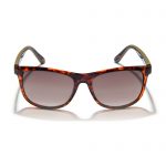 Gidgee FENDER – Amber Tort Sunglasses