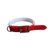 PVC Dog Collar – Red
