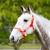 PVC Overlay Halter – (Full)