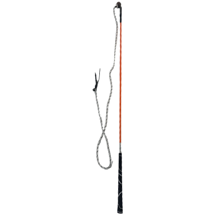 Training Whip