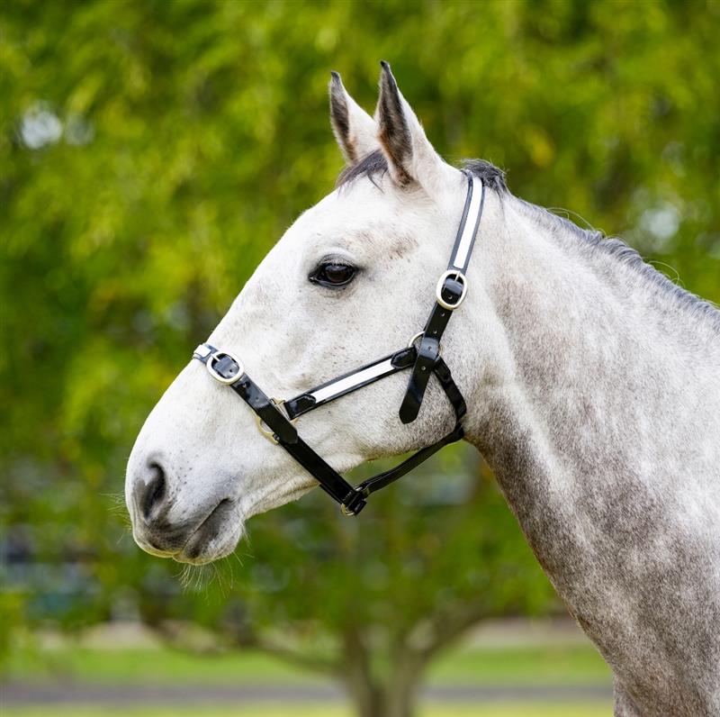 PVC Overlay Halter – (Full)