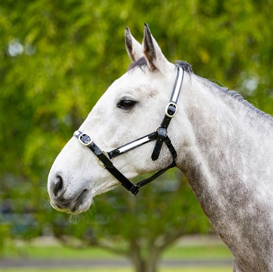 PVC Overlay Halter – (Full)