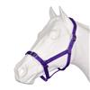 Buckle Halter Shetland