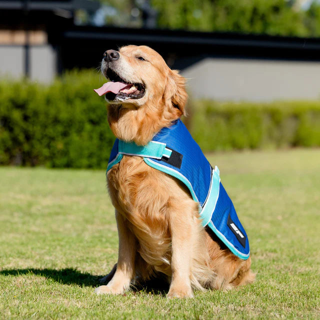 EquestPro Blue Bolt Dog Rug – 100g