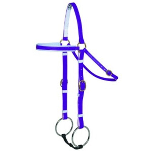 Horse Sense Barcoo Bridle Head - Brass Fittings Purple/White