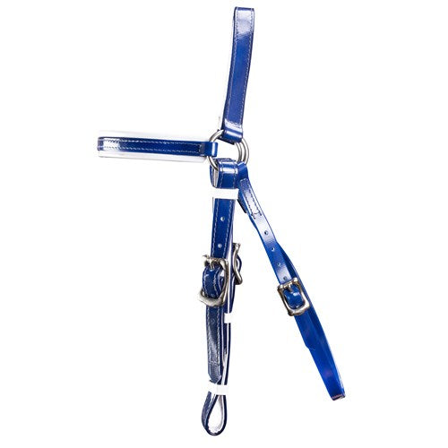 Blue/ White Horse Sense Barcoo Bridle Head - Nickel Plated Fittings
