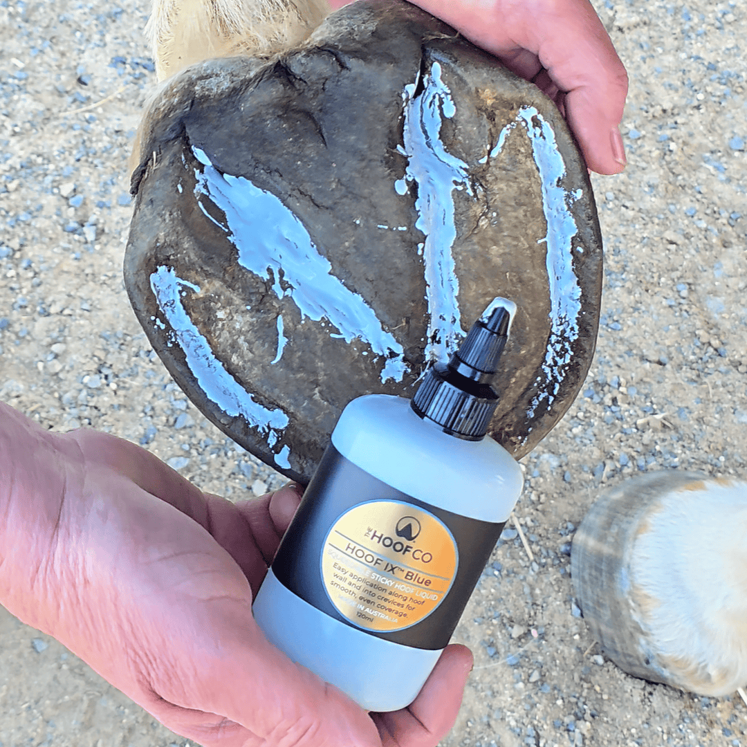 Hoof IX™ Blue Squeezable Hoof Liquid