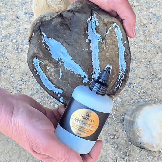 Hoof IX™ Blue Squeezable Hoof Liquid