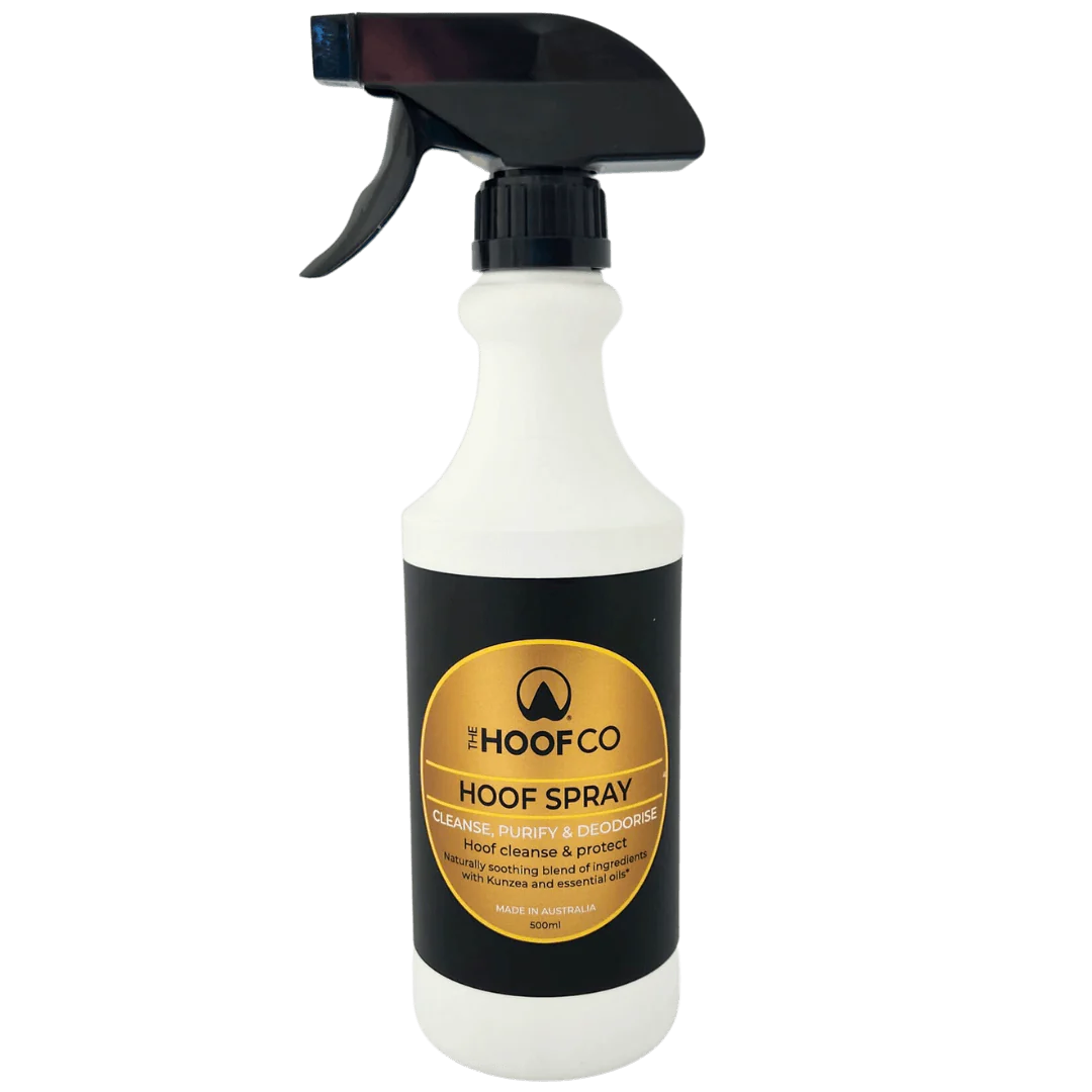 Hoof Spray - 𝘾𝙡𝙚𝙖𝙣𝙨𝙚, 𝙋𝙪𝙧𝙞𝙛𝙮 & 𝘿𝙚𝙤𝙙𝙤𝙧𝙞𝙨𝙚