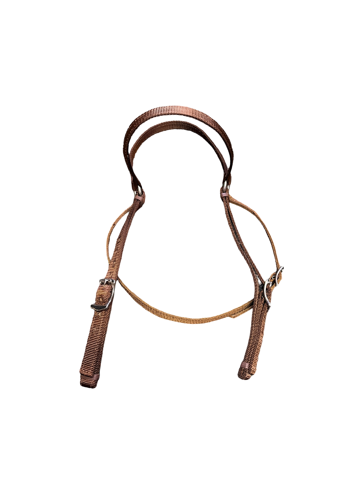 Luke Petrie Web Bridle – 19 mm Webbing with Stainless Steel Fittings