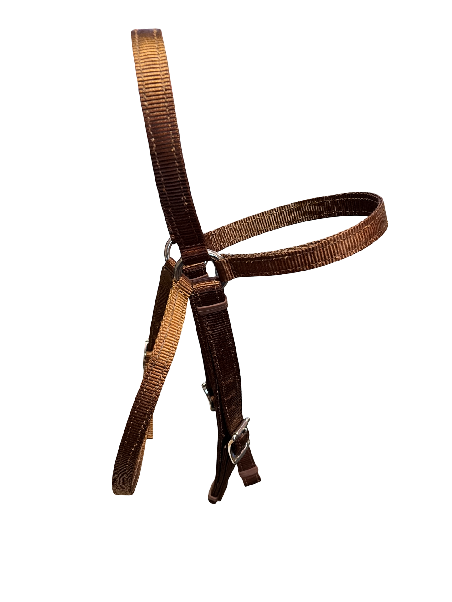 Luke Petrie Web Bridle – 19 mm Webbing with Stainless Steel Fittings