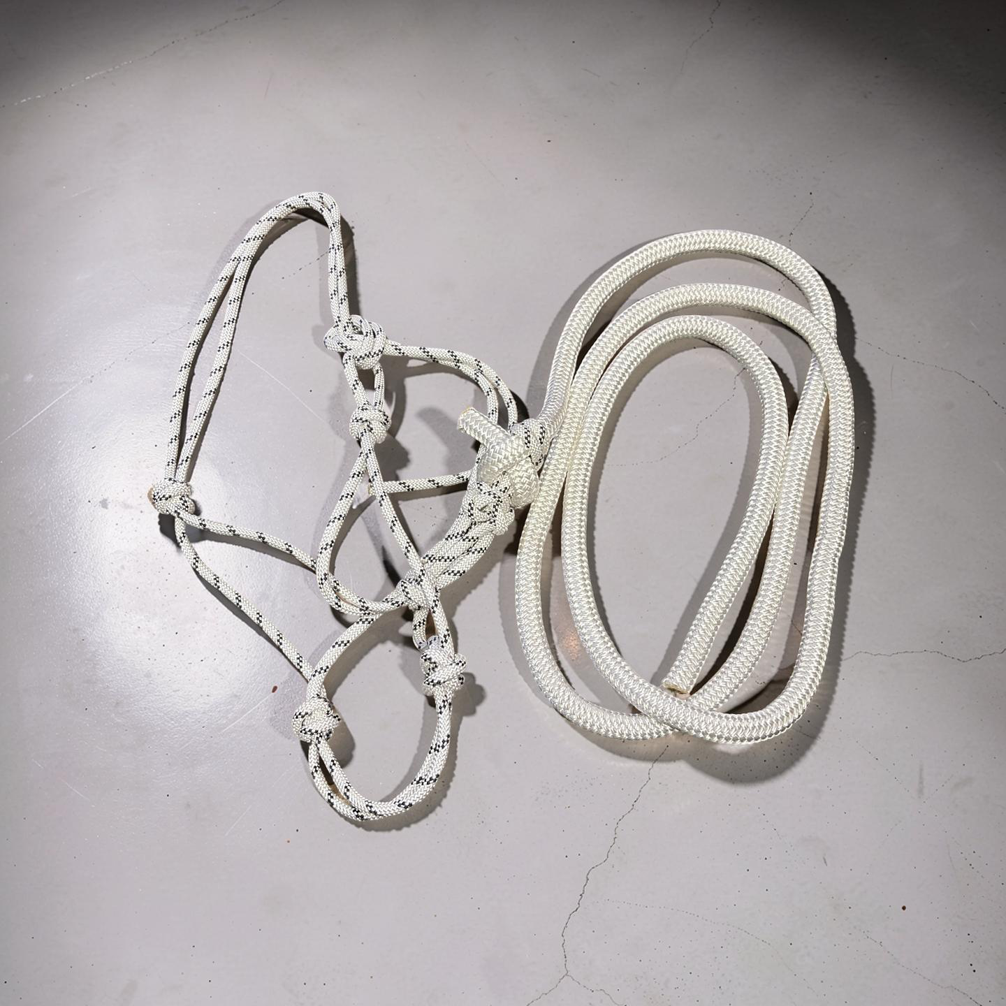 Blackie - Rope Halter with Lead Rope – Black & White