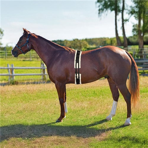 Equi-Prene Lunge Training Surcingle Full Size