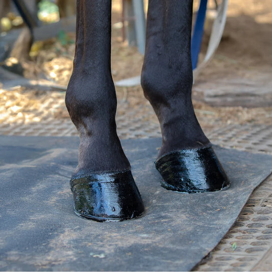 Nolian Enterprises Hoof Safe Shine - Black 220mls