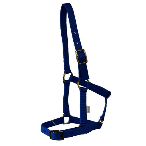 Rancher Nylon Foal Halter w/Buckles