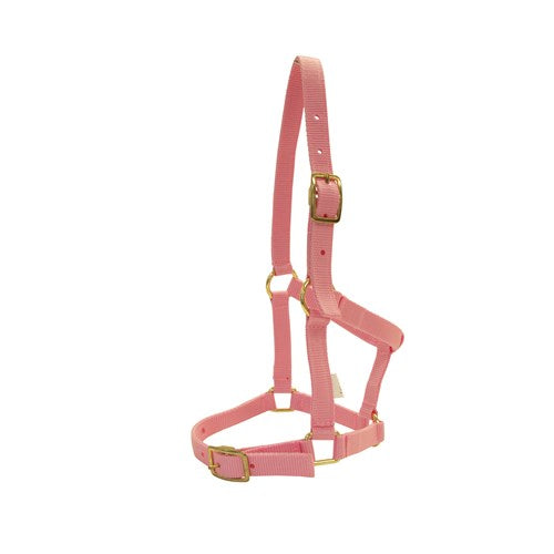Rancher Nylon Foal Halter w/Buckles