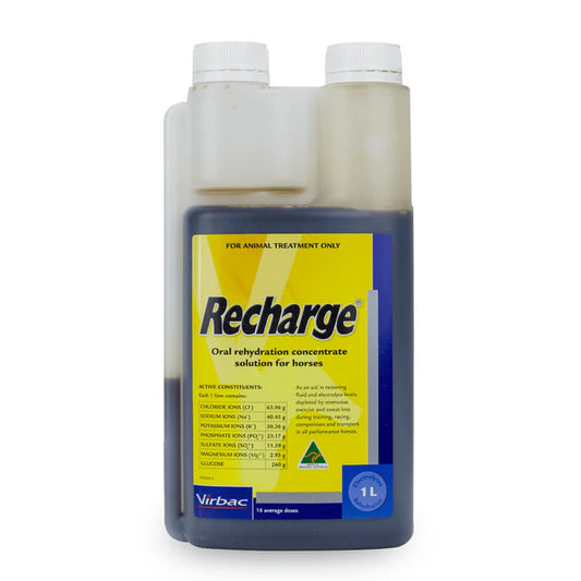 Recharge Electrolyte Concentrate – For Horses 1lt