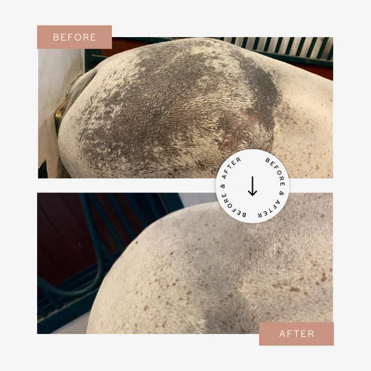 CuraPet® Remedeaz Oil