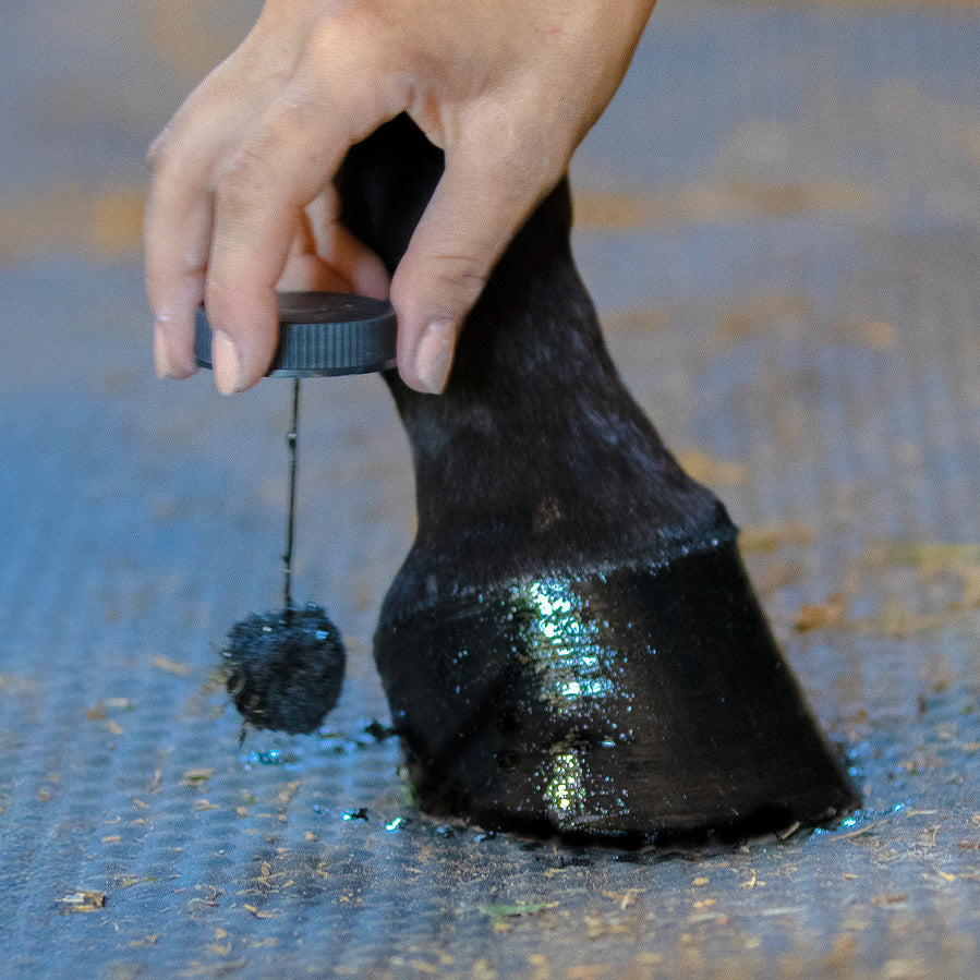 Nolian Enterprises Hoof Safe Shine - Black 220mls