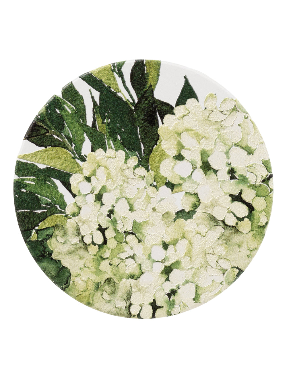 Greenhouse Green Floral Ceramic Coaster Set of 4