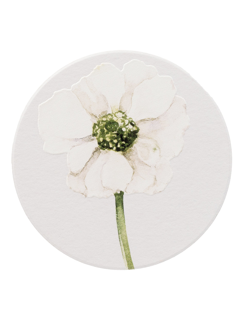 Greenhouse Green Floral Ceramic Coaster Set of 4