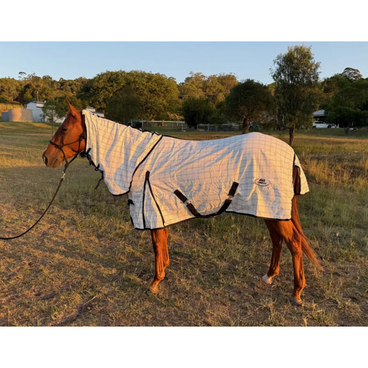🐴 Thrifty Combo Rug