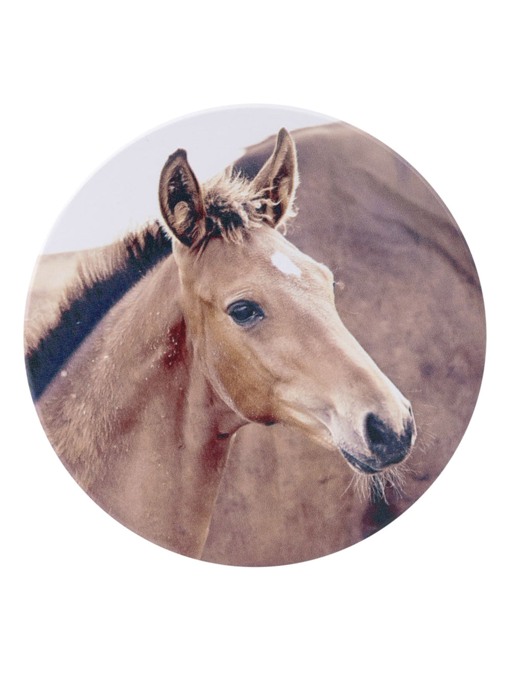 Rustic Meadow Coaster Set of 6