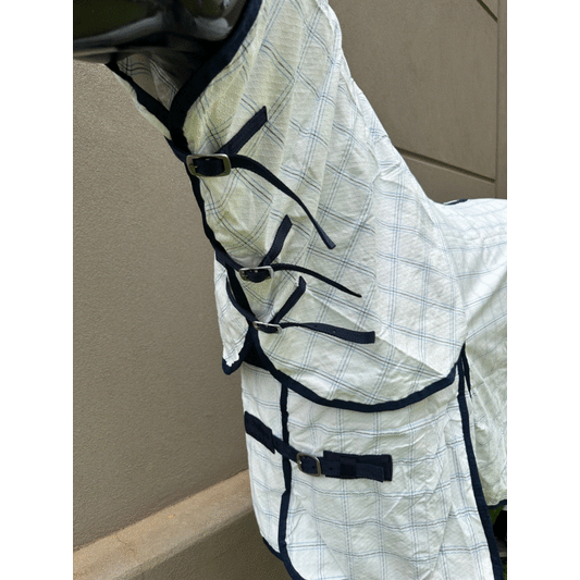 🐴 Thrifty Combo Rug - 5"9