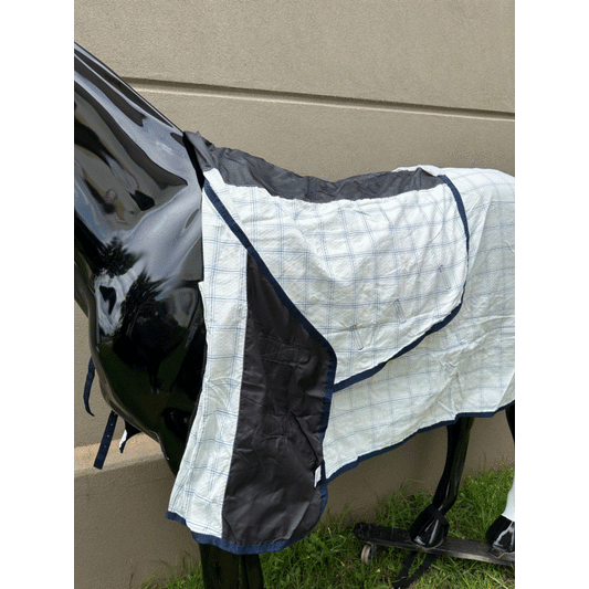 🐴 Thrifty Combo Rug - 5"9