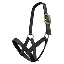 Load image into Gallery viewer, Nylon Cattle Halter
