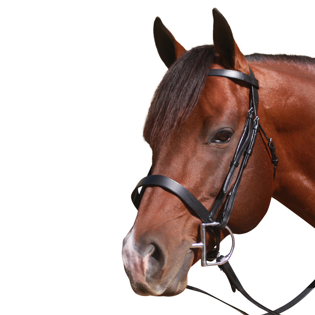 McAlister - Flat Cavesson Bridle