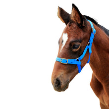 Load image into Gallery viewer, Foal Nylon Headstall
