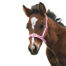 Load image into Gallery viewer, Foal Nylon Headstall
