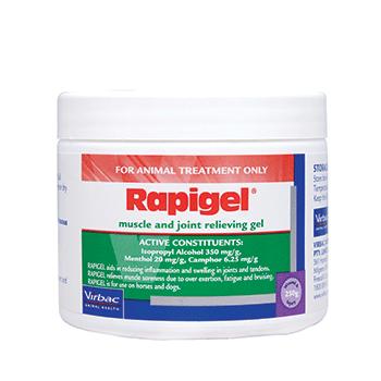 RAPIGEL Muscle and Joint Relieving Gel – 250g