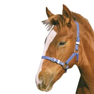 Foal / Mini PVC Headstall