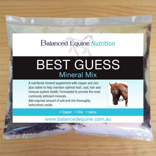 Balanced Equine Nutrition - Best Guess