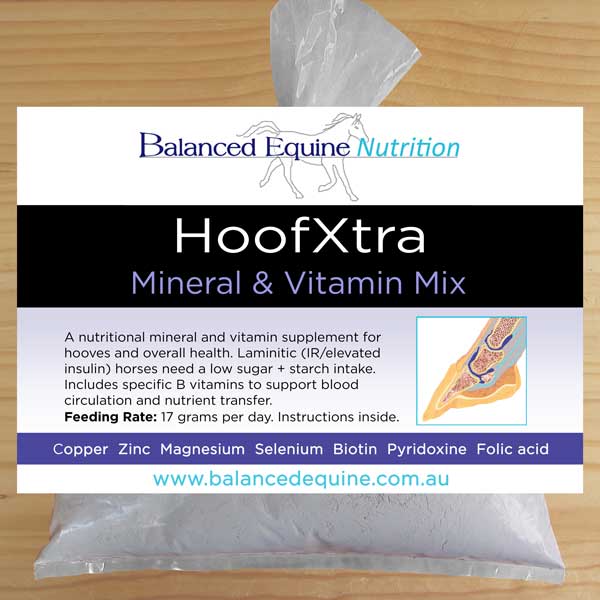 Balanced Equine Nutrition - HoofXtra