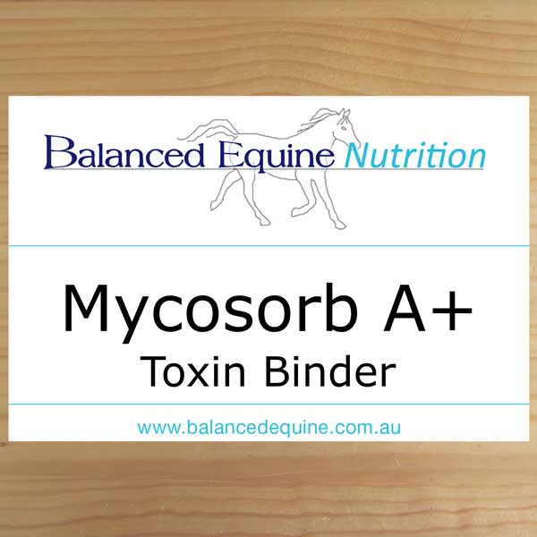 Balanced Equine Nutrition - Mycosorb A+