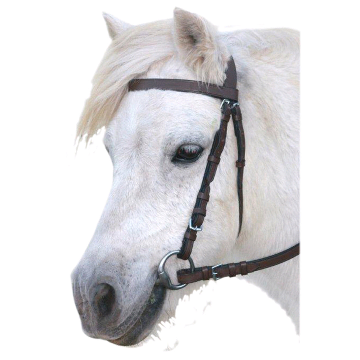 Plain Leather Snaffle Bridle - Brown
