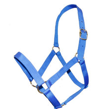 Load image into Gallery viewer, Ranch Halter
