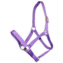 Load image into Gallery viewer, Ranch Halter
