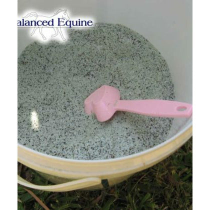 Balanced Equine Nutrition - Best Guess