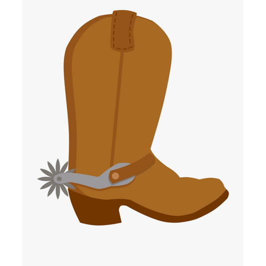 Effax Boot Miracle Spray