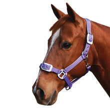 Load image into Gallery viewer, Status Deluxe Padded Headstall - Blue
